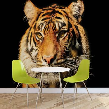 Fotomural  Tigre
