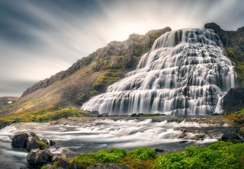 Fotomurale  Timeless