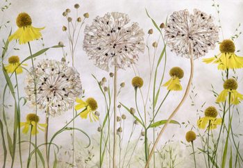 Alliums And Heleniums Fototapet