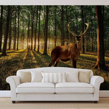 Deer Forest Trees Nature Fototapet