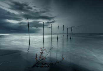 Forever Blue Fototapet