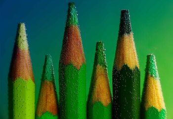 Fototapet Green
