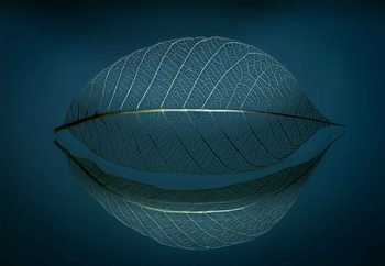 Fototapet Leaf Skeleton