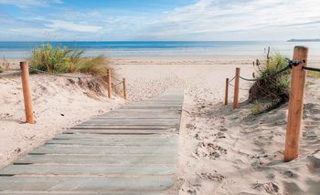 Path Beach Sand Nature Fototapet