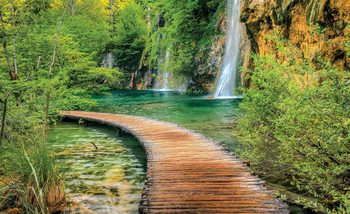 Path Sea Mountains Waterfall Forest Fototapet