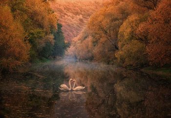Fototapet Romantic River