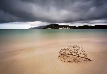 Smooth Feeling Fototapet