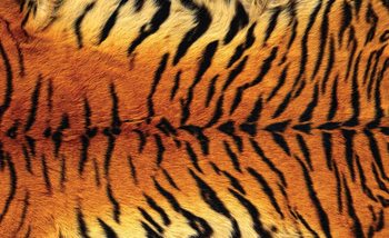 Tiger Skin Fototapet