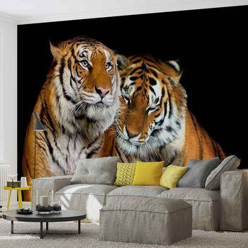 Tigers Tapéta, Fotótapéta