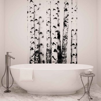 Birch Trees Fototapeta