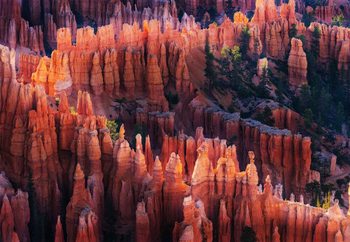 Bryce Canyon At Sunset Fototapeta
