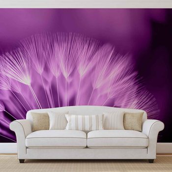 Dandelion Flower Fototapeta
