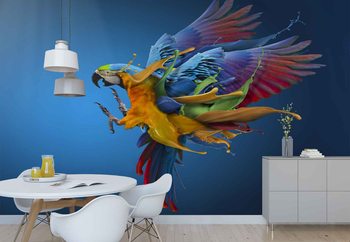 Flying Colours Fototapeta