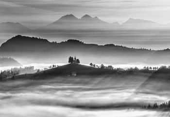 Morning Rays Fototapeta