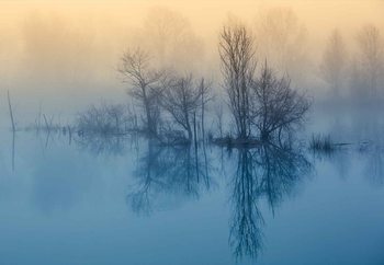 Morning Reflection Fototapeta