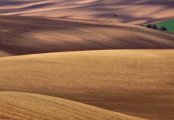 Spring Work Fototapeta