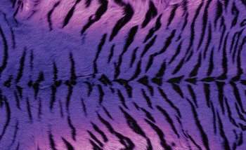 Tiger Animal Fototapeta
