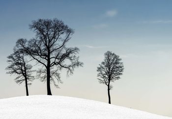Winter Haiku Fototapeta