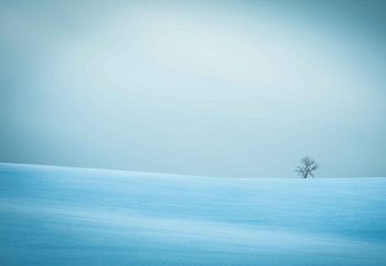 Winter In Solitude Fototapeta