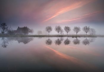 Dreamland Fototapete