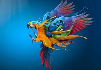Flying Colours Fototapete