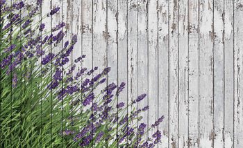 Lavendel Blumen Holz Planken Vintage Fototapete