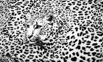 Leopard Schwarz Weiß Fototapete