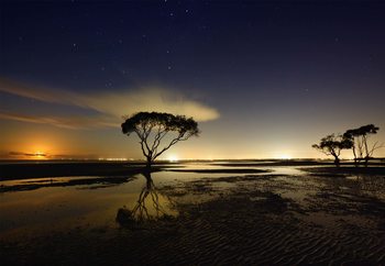 Moonrise Fototapete