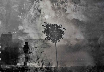 Splitting Shadows Fototapete