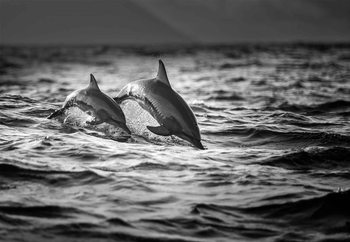 The Mother And The Baby Fototapete