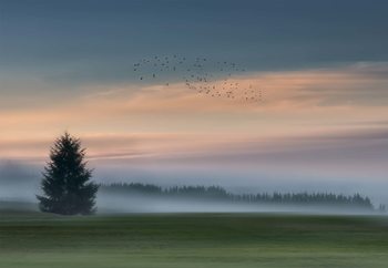 Dance In The Clouds Fototapet