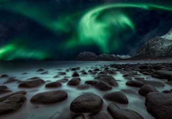 Dragon'S Fly Fototapet