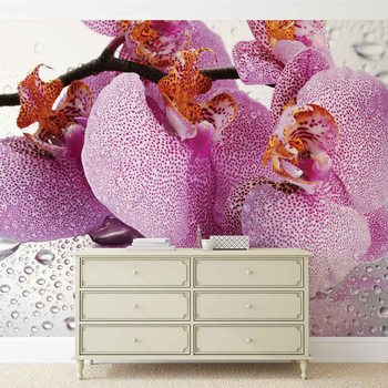 Fototapet Flowers Orchids Drops