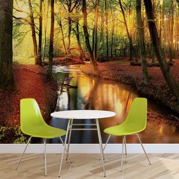 Forest River Beam Light Nature Fototapet
