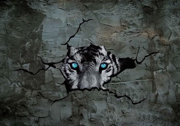 Jaguar Leopard 3D Fototapet