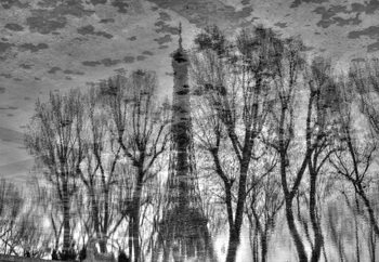 Reflection Fototapet