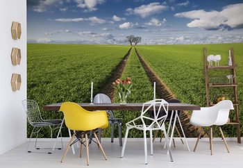 Trace & Trees Fototapet