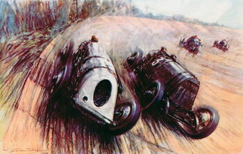 Fototapeta A battle of giants