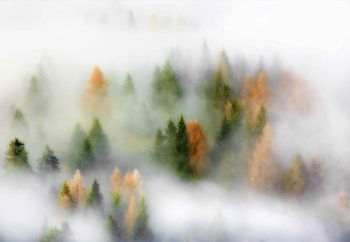 Fototapeta Autumn Dream