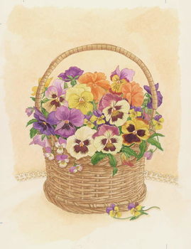 Fototapeta Basket of Pansies, 1998