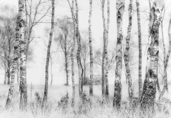 Fototapeta  Black And White