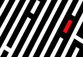 Fototapeta Black Stripes