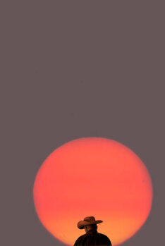 Fototapeta Cowboy at sunrise.