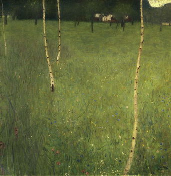 Fototapeta Farmhouse with Birch Trees, 1900