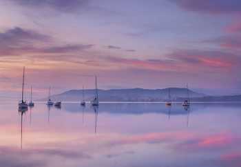 Morning Mood Fototapeta