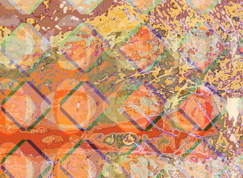 Fototapeta Ocean Forest