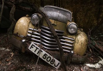 Fototapeta  Opel Olympia