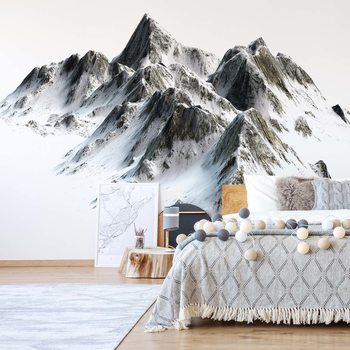 Fototapeta Snowy Mountain