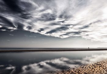 Fototapeta  Solitaire