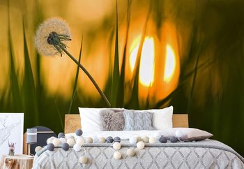 Fototapeta  Sunbathing